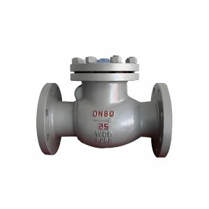 DN50 PN25 介質(zhì)：甲胺，溫度：80℃止回閥