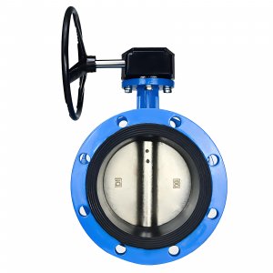 法蘭式蝸輪蝸桿蝶閥DN40，1.6Mpa（橡膠密封