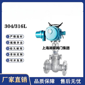 Z941W-16P，DN250，CF8/F304不銹鋼電動閘閥