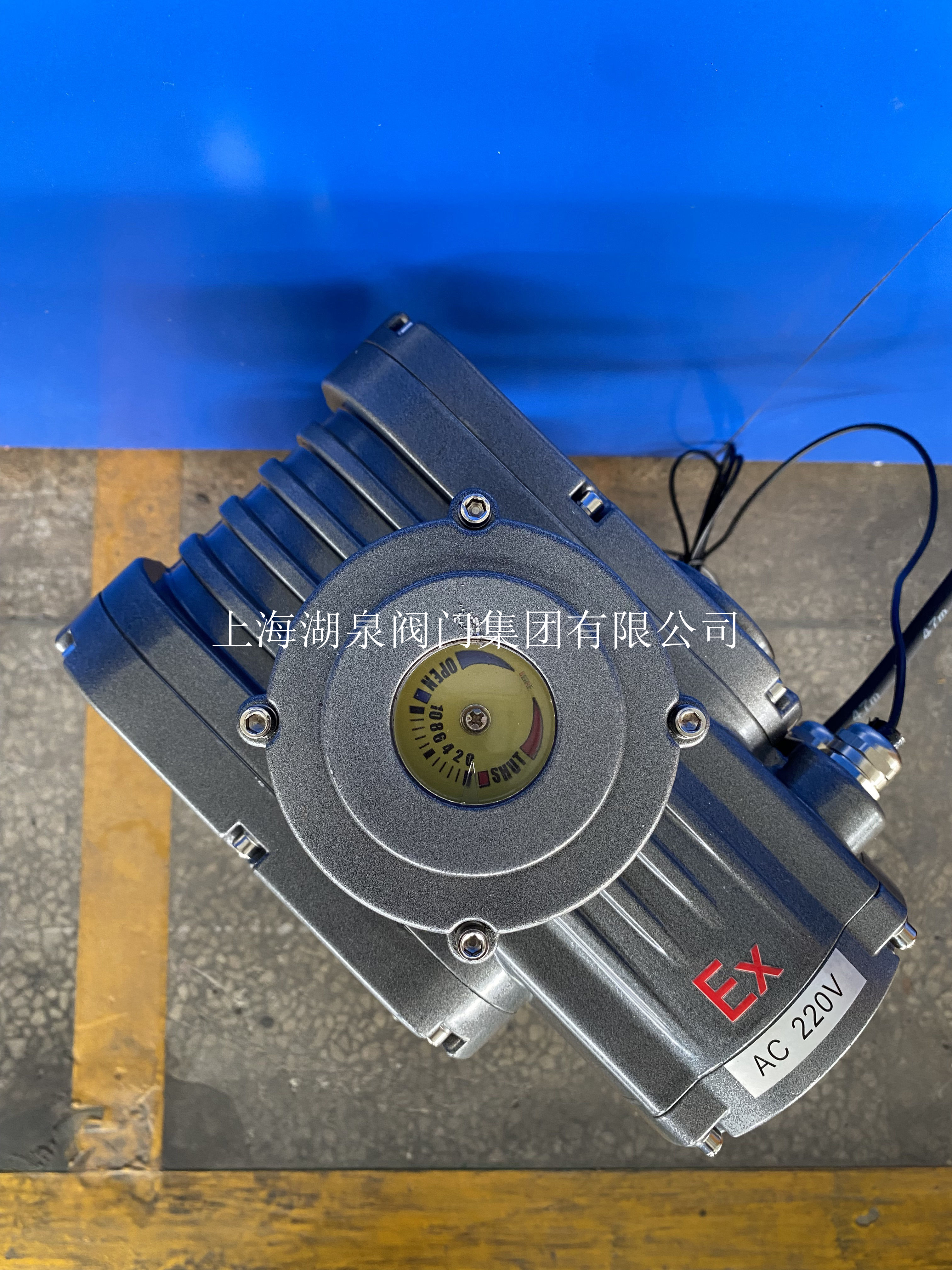 閥門電動(dòng)裝置