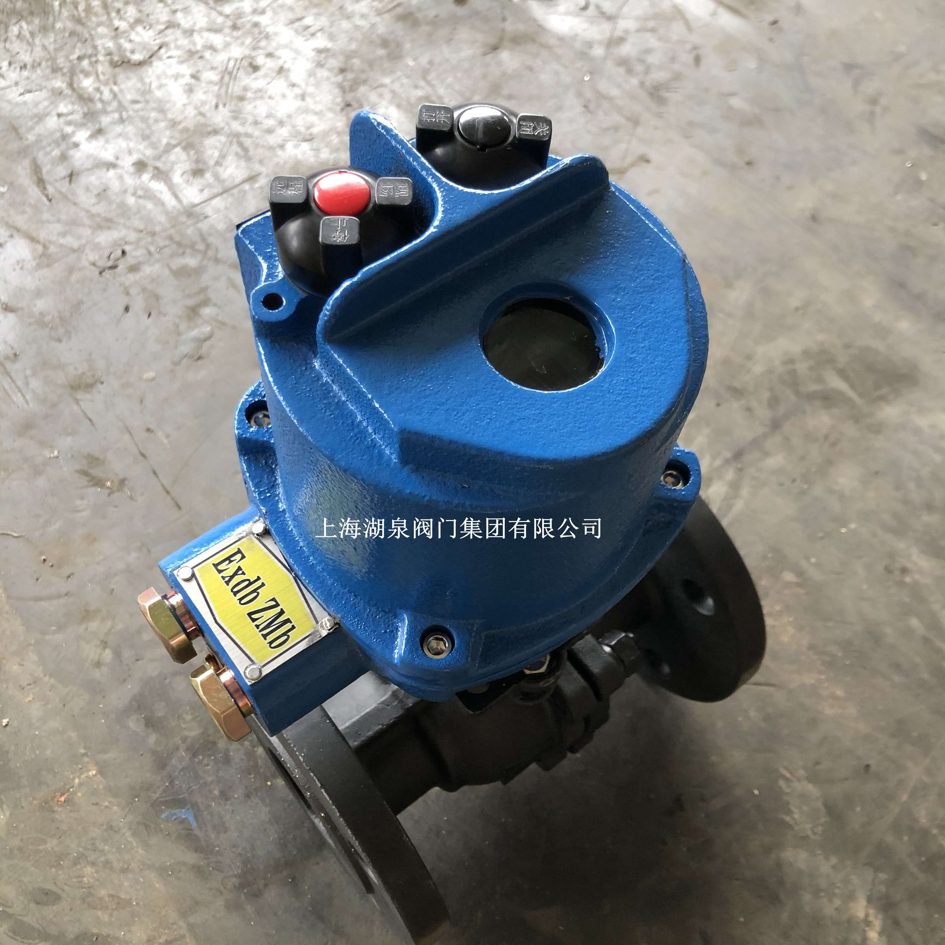 閥門(mén)電動(dòng)裝置